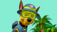 PAW Patrol 315 Scene 41 Chase