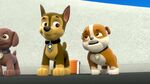 PAW.Patrol.S01E26.Pups.and.the.Pirate.Treasure.720p.WEBRip.x264.AAC 131932