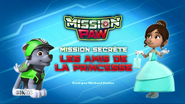 PAW Patrol La Pat' Patrouille Mission Secrète Les Amis de la princesse