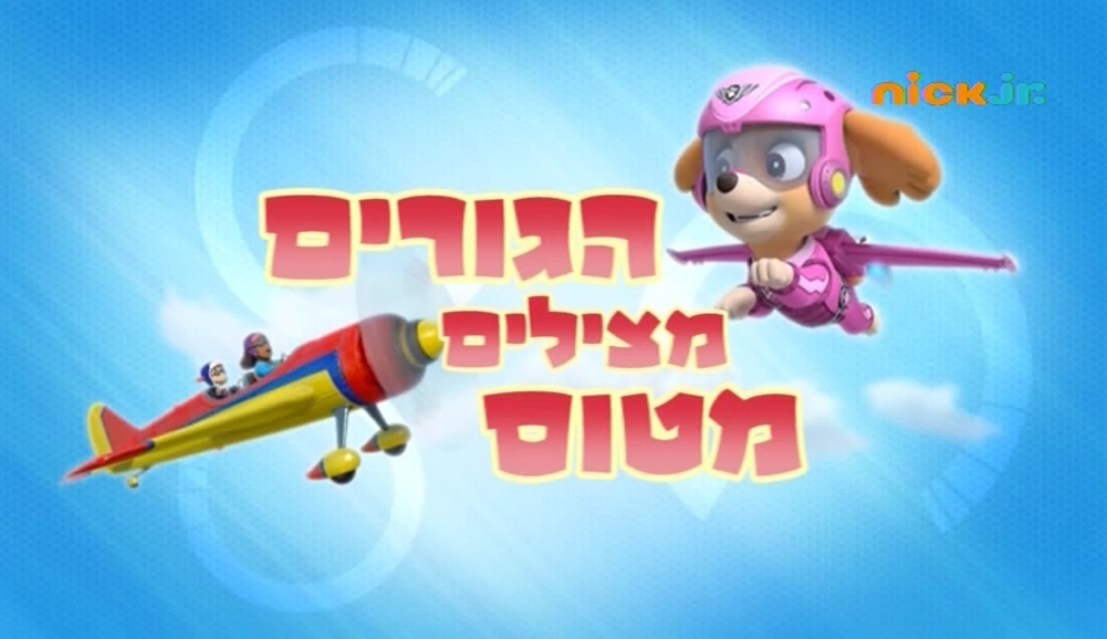 skye paw patrol airplane