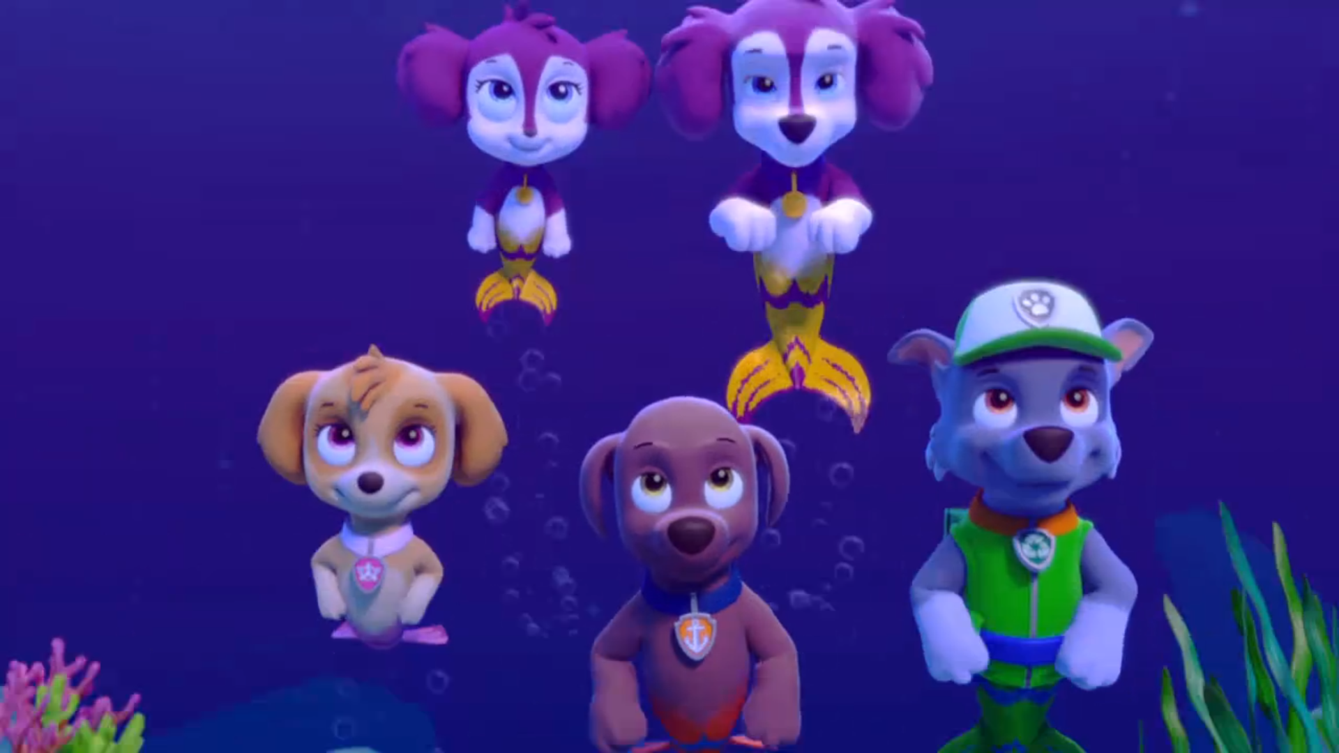 Baby mer pup Appearances PAW Patrol Wiki Fandom