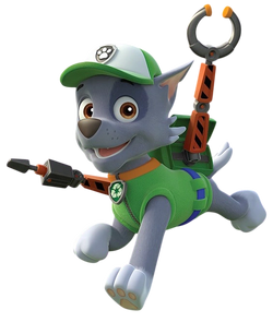 Rocky pup pack online