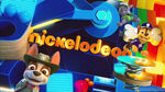 Nickelodeon (Chase, Rocky and Tracker)
