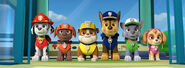 PAW Patrol pups