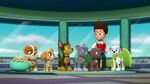 Paw.Patrol.S03E26E27.Parroting.Pups.Merpups.Save.the.Turbots.720p.WEB-DL.AAC2.0.H264-BTN 688897