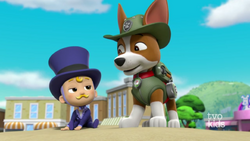 PAW Patrol Pups Have Weird Dreams! w/ Baby Humdinger & Tracker