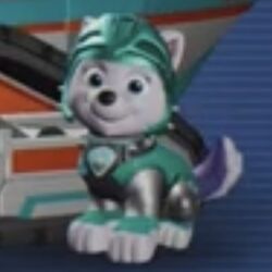 Paw patrol air rescue shop everest