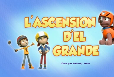 (未使用･未開封品)パウ・パトロール マーシャルとチェイスだいかつやく! [DVD] Amazon.co.jp: パウ・パトロール マーシャルとチェイスだいかつ