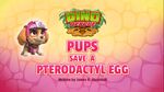 Pups save a pterodactyl egg