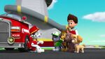 PAW Patrol Season 2 Episode 10 Pups Save a Talent Show - Pups Save the Corn Roast 219152