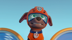 Zoomer paw patrol hot sale