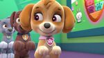 PAW.Patrol.S01E21.Pups.Save.the.Easter.Egg.Hunt.720p.WEBRip.x264.AAC 194027