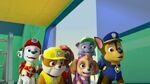 PAW.Patrol.S02E07.The.New.Pup.720p.WEBRip.x264.AAC 170771