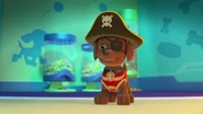 PAW.Patrol.S01E12.Pups.and.the.Ghost.Pirate.720p.WEBRip.x264.AAC 59927.jpg (60 KB) Pirate costume (Halloween)