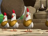 Chicken guards/Appearances