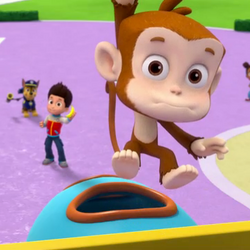 Paw patrol mandy the monkey toy sales