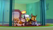 PAW Patrol Monkey-naut Scene 10