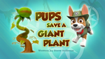 Pups Save a Giant Plant (HQ)