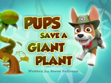 Pups Save a Giant Plant