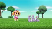 PAW Patrol Pups Save the Songbirds Scene 22