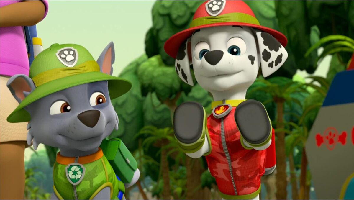 Rocky/Gallery, PAW Patrol Wiki, Fandom