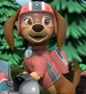 Liberty | PAW Patrol Wiki | Fandom