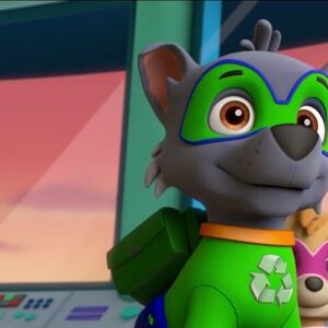 paw patrol pup rocky