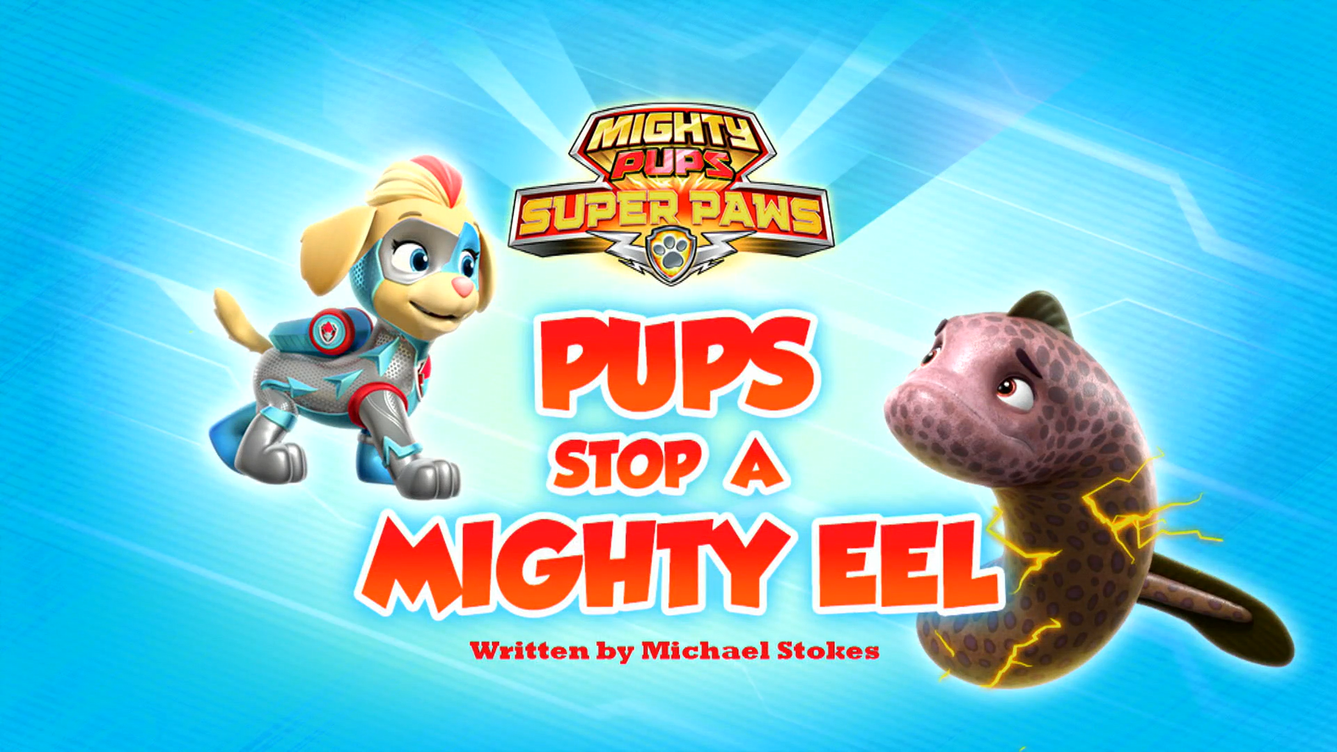 Rubble Stops the Cheetah and more rescues!, PAW Patrol