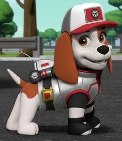 who is the beagle in paw patrol? 2