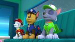 PAW.Patrol.S02E07.The.New.Pup.720p.WEBRip.x264.AAC 613947