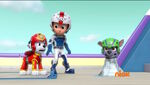 PAW Patrol Pups Save the Polar Bears Ryder Marshall Rocky