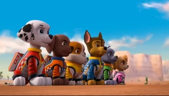paw patrol race to the rescue