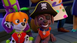 Paw Patrol Pirate Pups Zuma - collectura