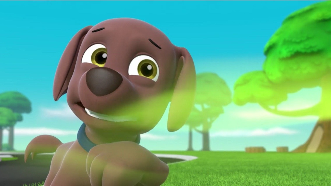 Zuma/Gallery/Pups Save a Stinky Fower, PAW Patrol Wiki