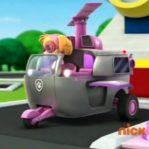 skye cycle paw patrol