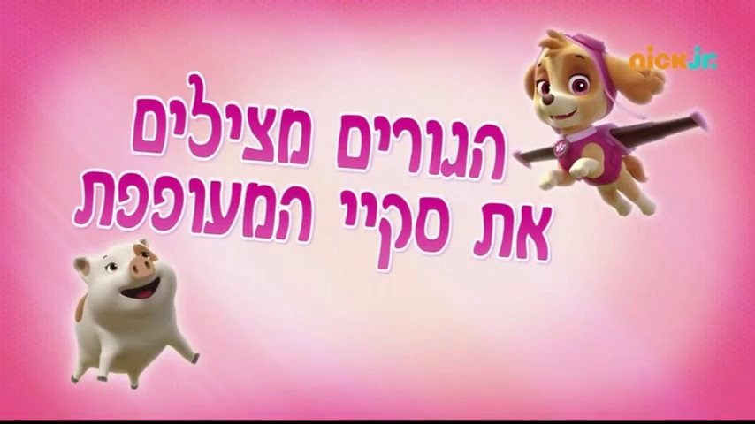 Pups Save A High Flying Skye Paw Patrol Wiki Fandom