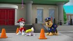 PAW.Patrol.S02E03.Pups.Save.Jake.-.Pups.Save.the.Parade.720p.WEBRip.x264.AAC 1275374