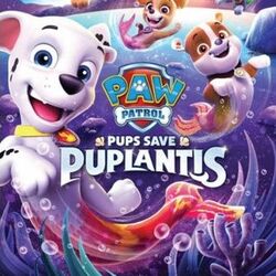 Paw patrol merpups dvd on sale