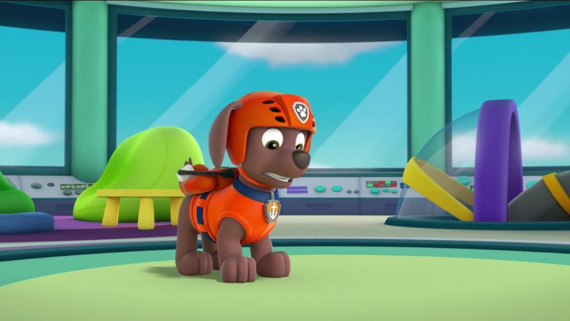 Paw Patrol Zuma 