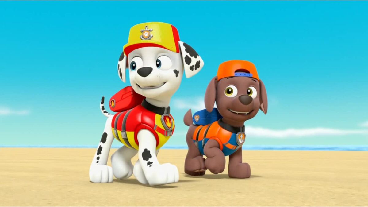 Paw patrol sea sales patrol zuma