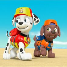 paw patrol sea patrol zuma