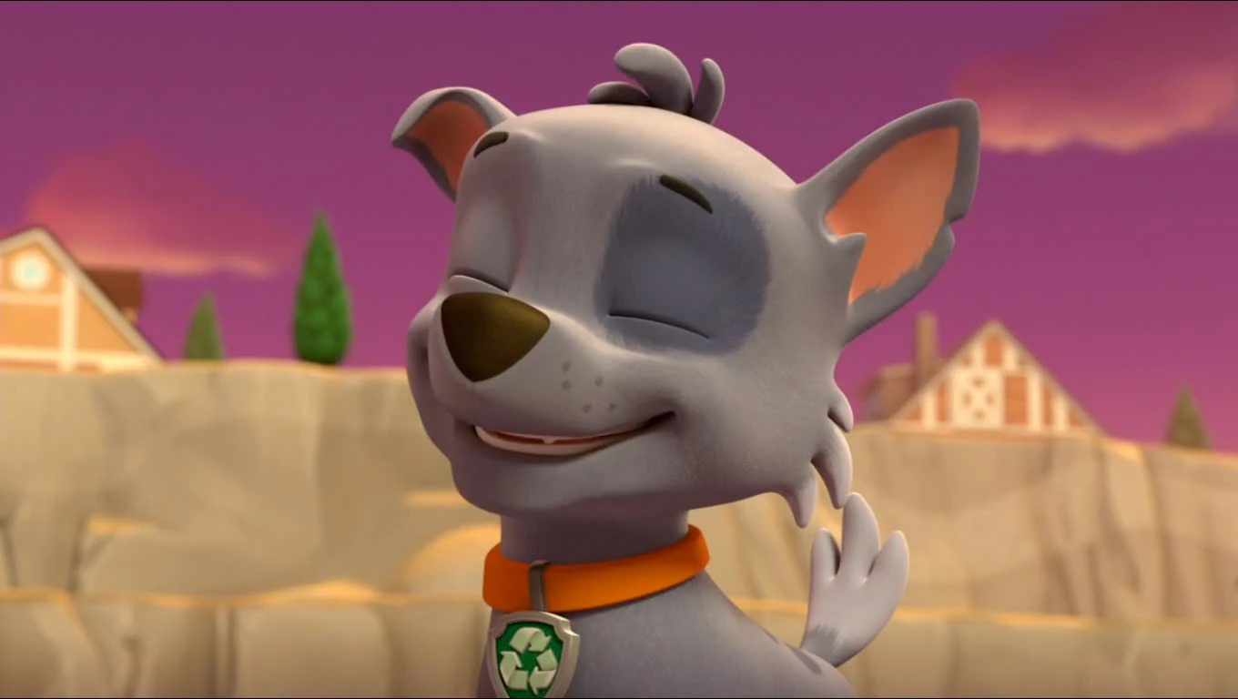 paw patrol pups save rocky