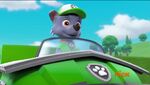 PAW Patrol Pups Save a School Bus Scene 12 Rocky