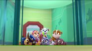 PAW Patrol Pups Save the Hippos Scene 10