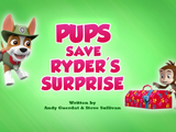 Pups Save Ryder's Surprise