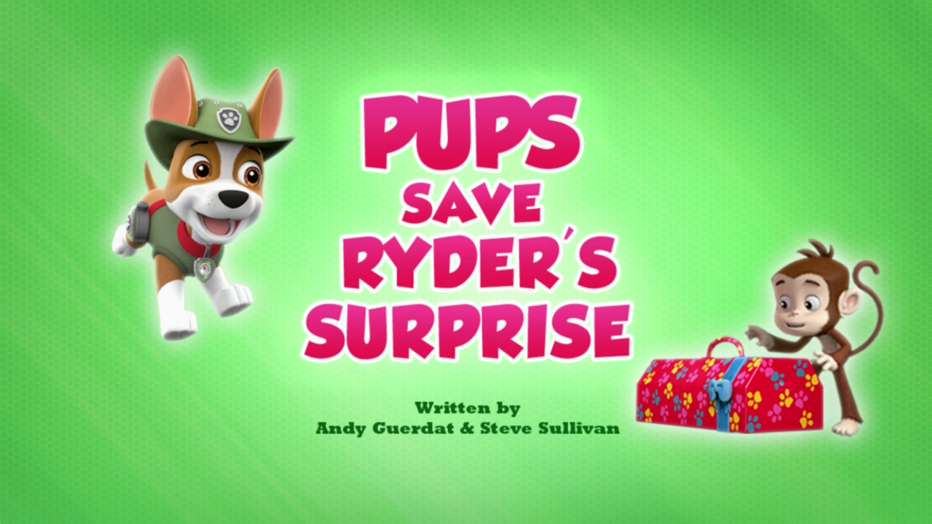 Ryder Paw Patrol  Ryder paw patrol, Paw patrol, Paw patrol birthday