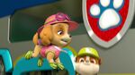 Paw.Patrol.S03E25.Tracker.Joins.the.Pups.720p.WEB-DL.AAC2.0.H264-BTN 682182