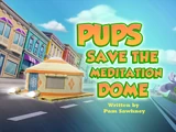 Pups Save the Meditation Dome