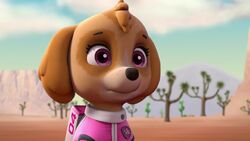 Paw patrol skye racer new arrivals