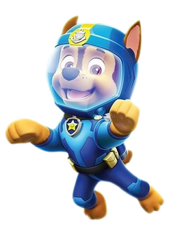 Paw patrol sea patrol chase sales